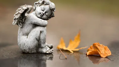 Tiefe Trauer an der HLW St. Veit