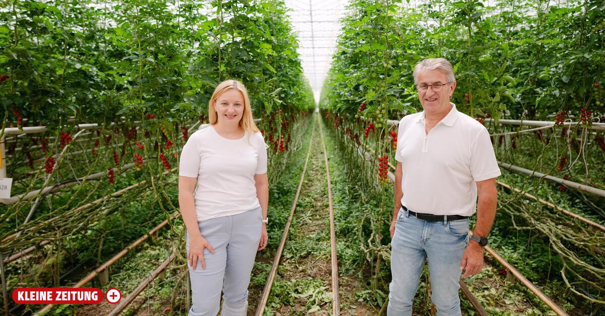 Frutura-Chef Hohensinner: „Viele wünschten uns das Scheitern“