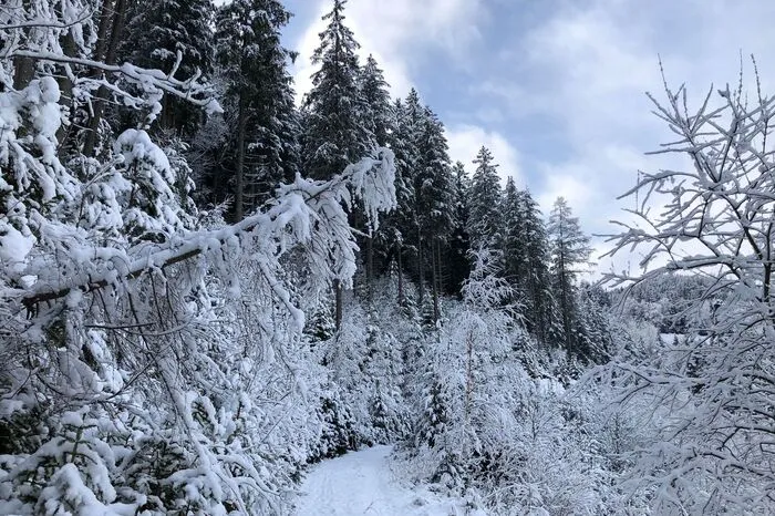 Geschneit hat es im Norden, hier ein Bild aus Ratten, rund einen halben Meter Schnee