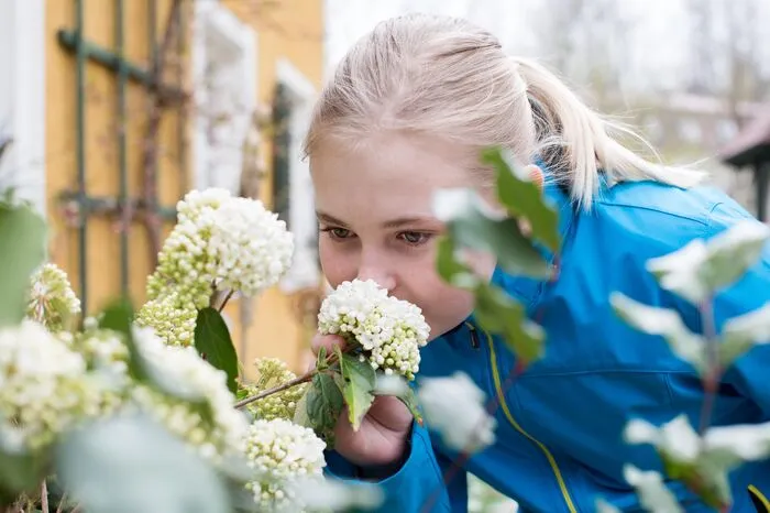 Kinderreporter: Gibt es Obst oder Gemüse, das Ihnen gar nicht schmeckt? Karl Ploberger: Eigentlich nicht. Am liebsten esse ich Obst und Gemüse, egal welches.