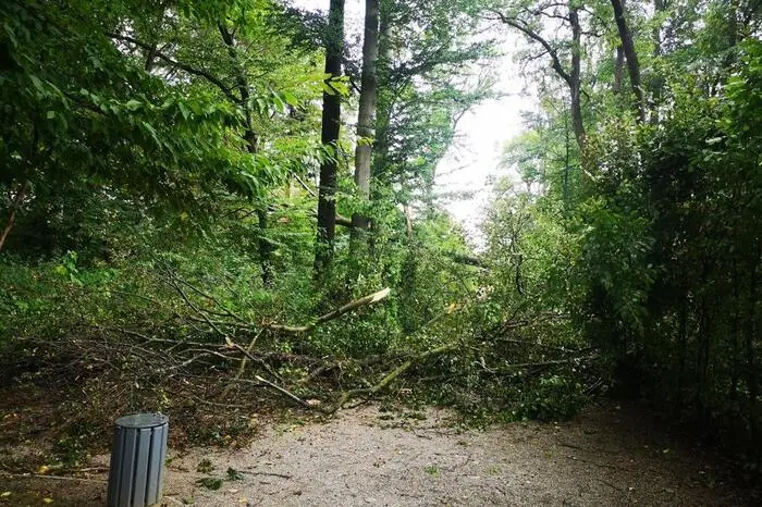 In Eggenberg musste der Schlosspark wegen Aufräumungsarbeiten vorübergehend geschlossen werden ...