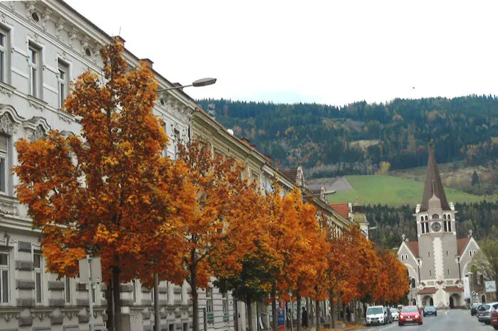 Wunderschön verfärbte Bäume in Leoben hielt Leser-Reporter Edmund Friedl für uns fest