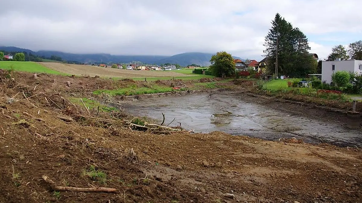 Dieser Teich wurde nun zum zweiten Mal entleert, wobei auch Fische verendeten