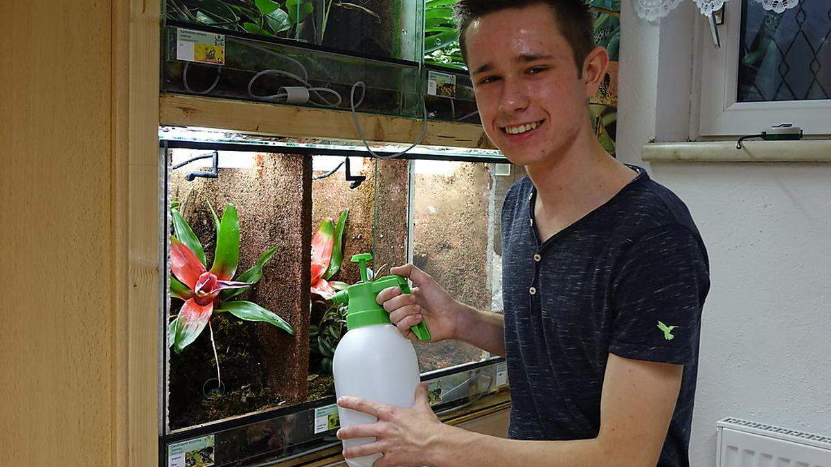 Bunte Bromeliengewächse zieren die Terrarien von David Hubner