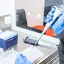 Das Land Tirol erweitert das Angebot von kostenlosen PCR-Tests