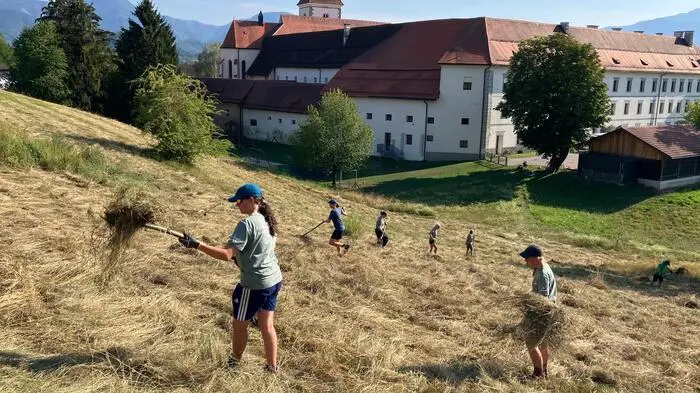 Heuwenden auf der gepachteten Streuobstwiese des Stifts Eberndorf