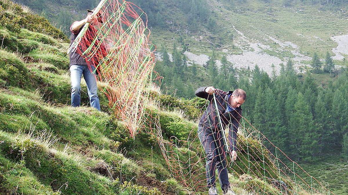 Im steilen Almgelände ist es nahezu unmöglich, einen Schutzzaun zu errichten