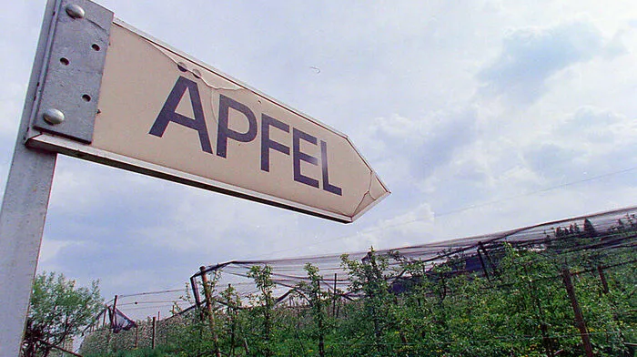 Der Apfel ist ein wichtiger Wirtschaftsfaktor im Bezirk