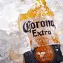 Bottle of Corona Extra beer in crushed ice, POZNAN, POL - MAY 22, 2020: Bottle of Corona Extra, one of the top-selling beers worldwide, a pale lager produced by Cerveceria Modelo in Mexico, POZNAN, POL - MAY 22, 2020: Bottle of Corona Extra, one of the top-selling beers worldwide, a pale lager produced by Cerveceria Modelo in Mexico, 07.06.2020, Copyright: xmonticellox Panthermedia28514160.jpg