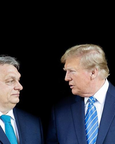 Sollte Trump wieder zum Präsidenten gewählt werden, freut er sich bereits darauf, mit Orban zusammenzuarbeiten. 