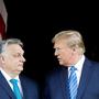 Sollte Trump wieder zum Präsidenten gewählt werden, freut er sich bereits darauf, mit Orban zusammenzuarbeiten. 