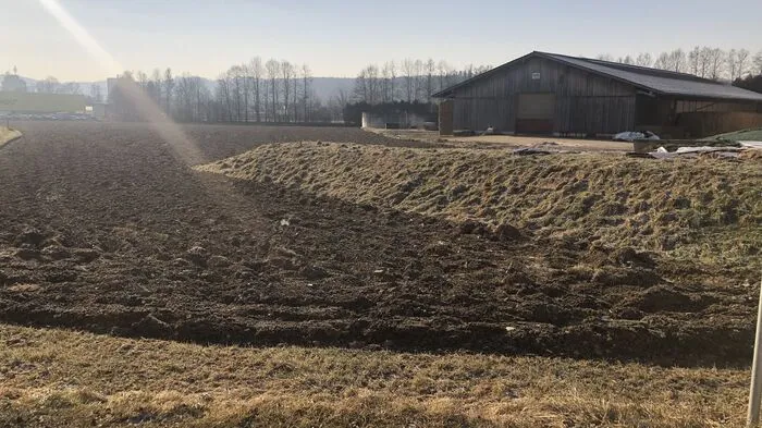 Keine Spur von Schnee in Gleisdorf vor der Firma Binder