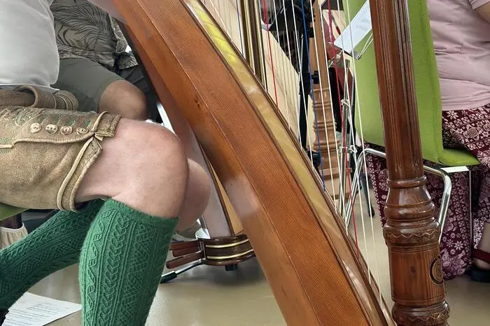 Gespielt wurde alles von alpenländischer Volksmusik über irische Tunes bis hin zu Melodien aus Skandinavien