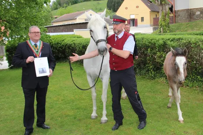 Nach einer Führung durch die Stallungen übergab Gestütsleiter Erwin Movia offiziell die Urkunde für die Patenschaft des Hengstfohlens Maestoso Presciana-8 an die Weinritter. Unter den Gästen waren auch die Bürgermeister Helmut Linhart (Köflach) und Lukas Vogl (Krottendorf-Gaisfeld).