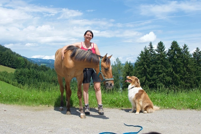Bewerbungen für Zeit mit Pferd, Hund, Katze usw. Bittner-Wenger vermittelt Kinder an andere Tierbesitzer weiter. Kontakt: zeitmitmeinemtier@gmail.com