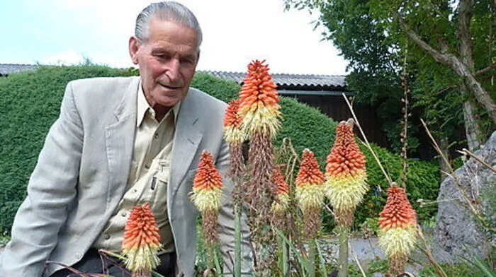 Alfred Zenz in seinem Alpengarten in Grambach