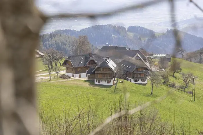 Asylheim Almdorf Graßler Lamm Saualm Lavanttal April 2024