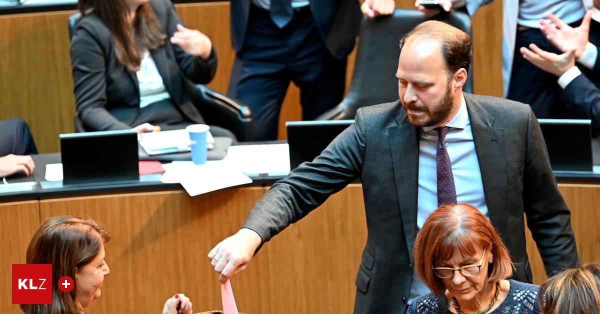 Scherak-Krisper-Co-Warum-Abweichler-im-Hohen-Haus-so-selten-sind