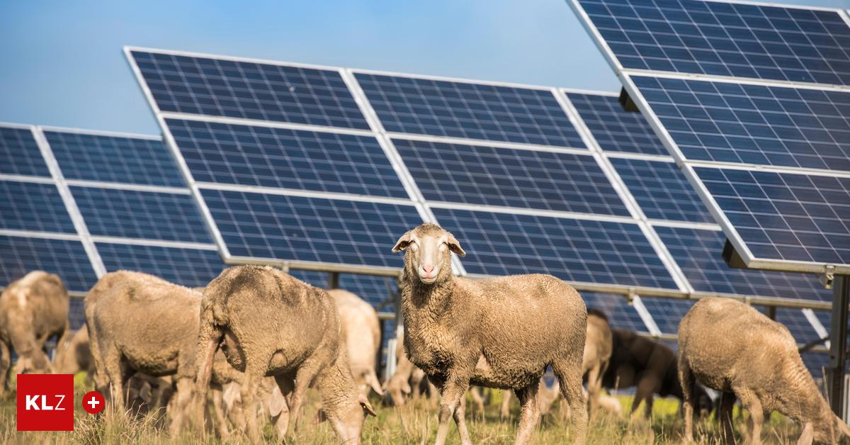 Umstrittenes-Thema-Ob-sinnvoll-oder-Landschaftsverschandelung-Immer-mehr-Bauern-setzen-auf-Photovoltaik