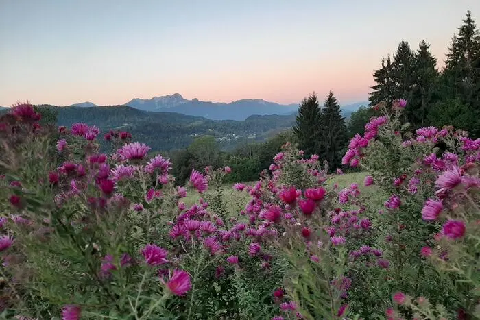 Im Morgenlicht | Unsere Leserreporterin Maria Wilms aus Keutschach hat von ihrem Garten aus einen herrlichen Blick zum Mittagskogel.