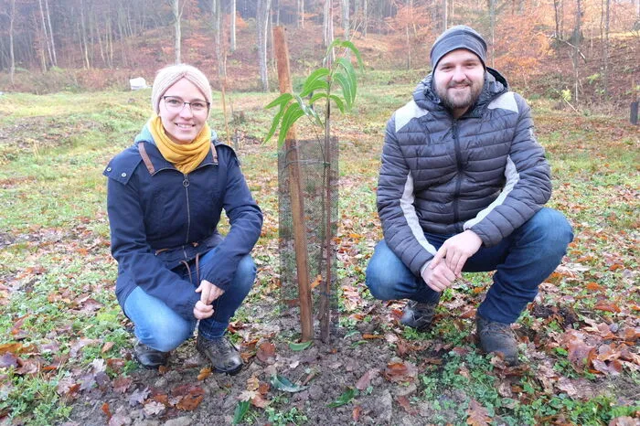 Ein Zukunftsbaum sei die Pekannuss, sagen die beiden.