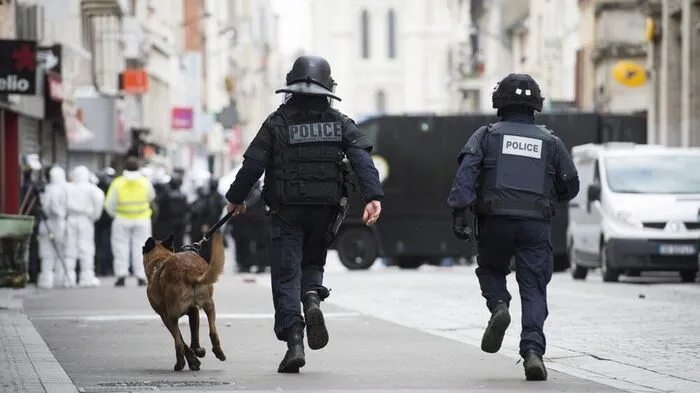 Hunde spielen in der Polizei eine wichtige Rolle. Ihre Sinne können in gefährlichen Situationen den Unterschied ausmachen.