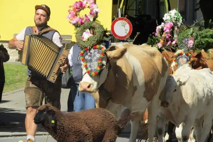 Dort zeigten sich die Tiere den Besuchern.