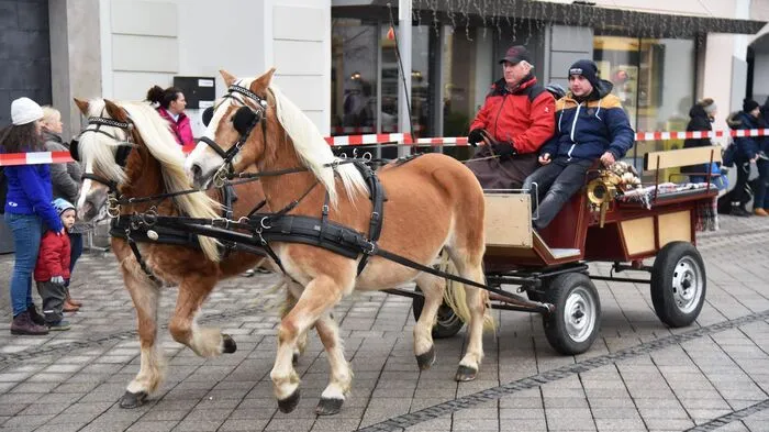Zur Pferdeweihe kamen auch Gespanne.