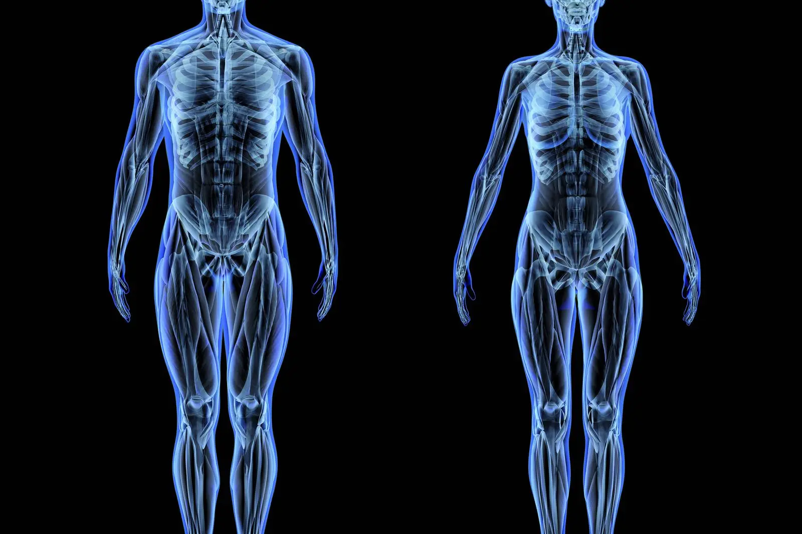 Die Sicht auf Frauen und ihre Körper hatte lange Zeit einen Fokuspunkt: die Gebärfähigkeit.