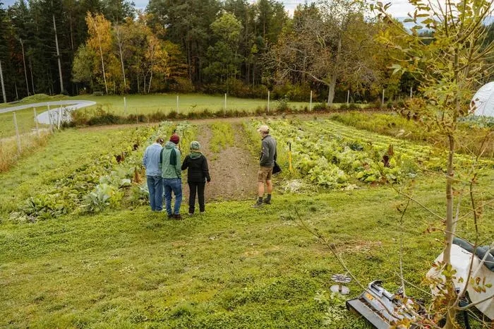 Das Herzstück von „Colourful Greens“ ist das nur 2200 Quadratmeter große Gemüsefeld. 