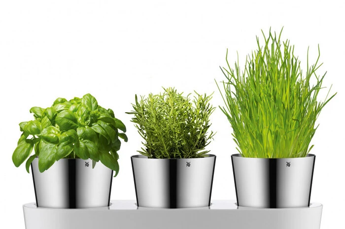 Der Kräutergarten fürs Fensterbrett. Herbs@Home von WMF ist dazu gedacht, Kräuter auch auf kleinstem Raum selbst zu ziehen. Drei Edelstahl-Blumentöpfe sind in einer gemeinsamen Schale vereint. Dieses System ist zugleich auch ein Wassertank, der die Blumenerde in den Töpfen indirekt über drei Glasfaserdochte feucht hält. Gesehen auf ikarus.de  