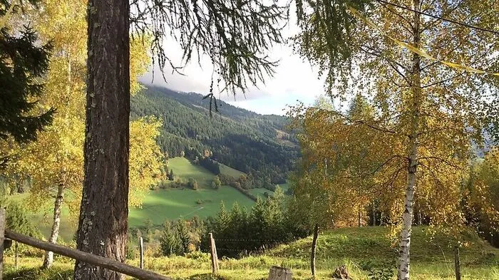 Der Herbst präsentiert sich weiterhin von einer milden Seite