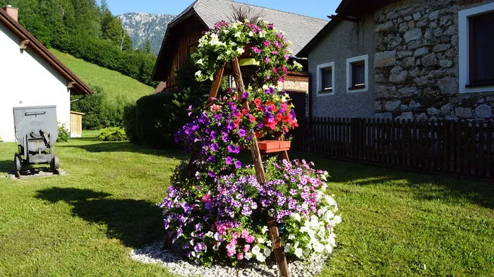 Fünf Floras