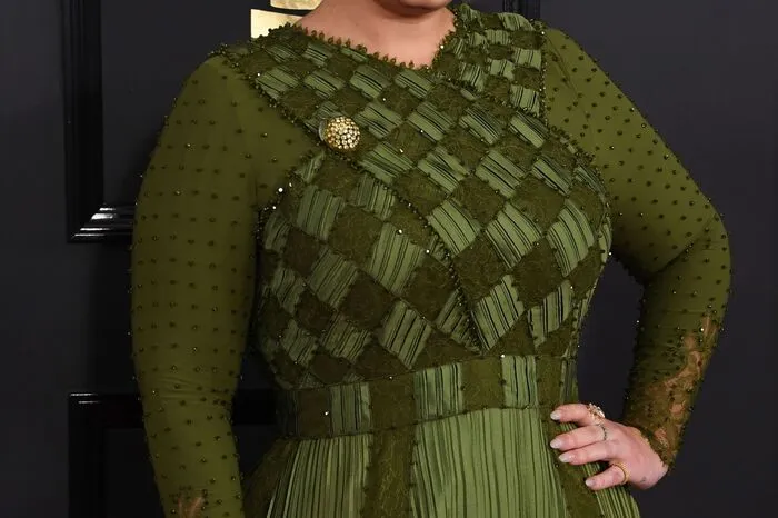 Vor der Verleihung im Februar dieses Jahres posiert sie im extravaganten Abendkleid. 