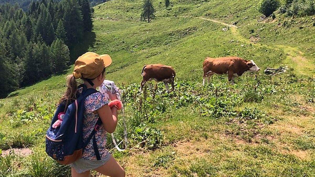 Die Kreuzeckgruppe bietet auch für Familien viele Wanderungen