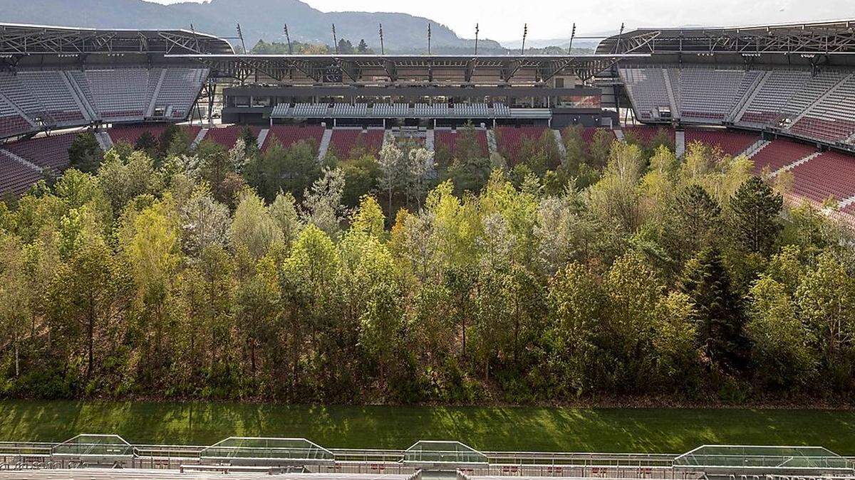 Der Blick auf die Bäume im Klagenfurter Stadion