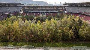 Der Blick auf die Bäume im Klagenfurter Stadion