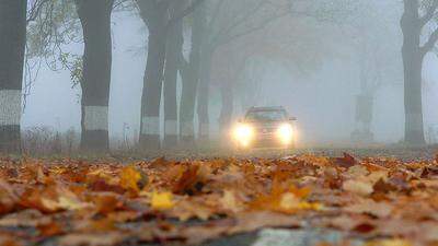 Mehr brauchst nicht: rutschiges Laub und dann auch noch Nebel