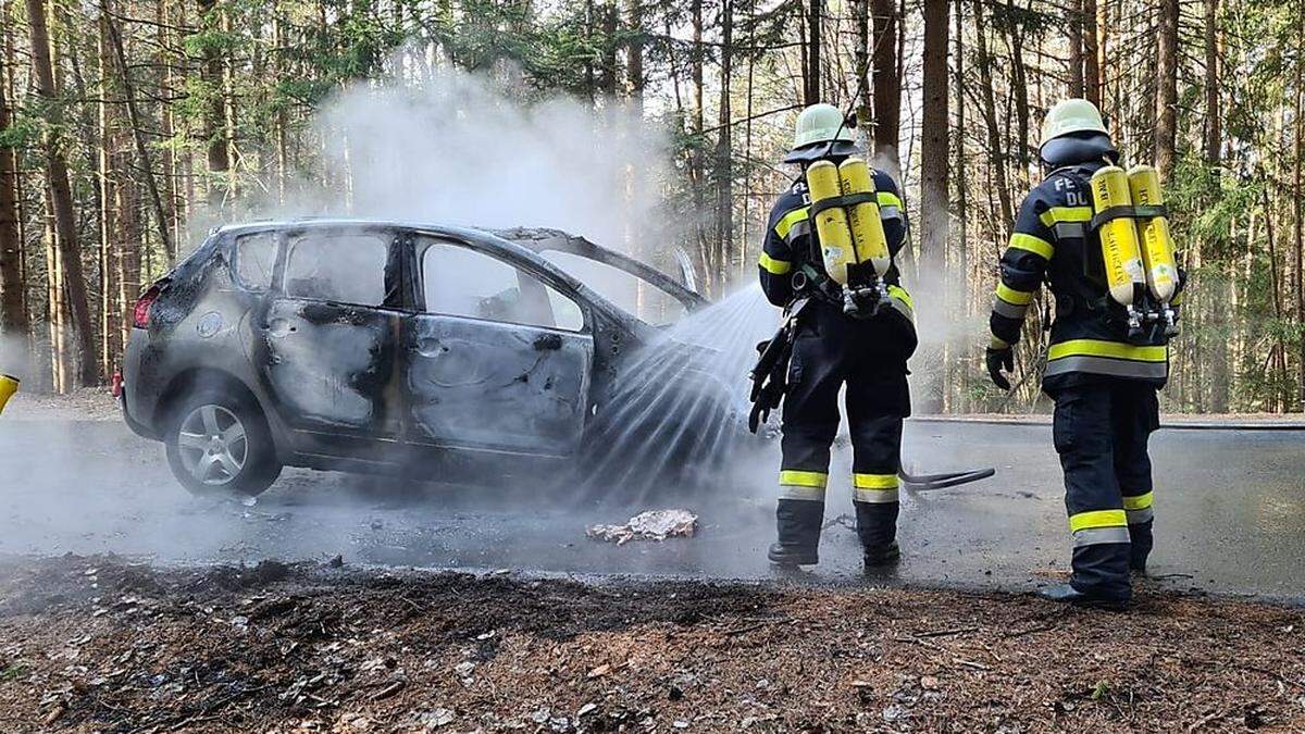 Der Wagen wurde bei dem Brand vollkommen zerstört