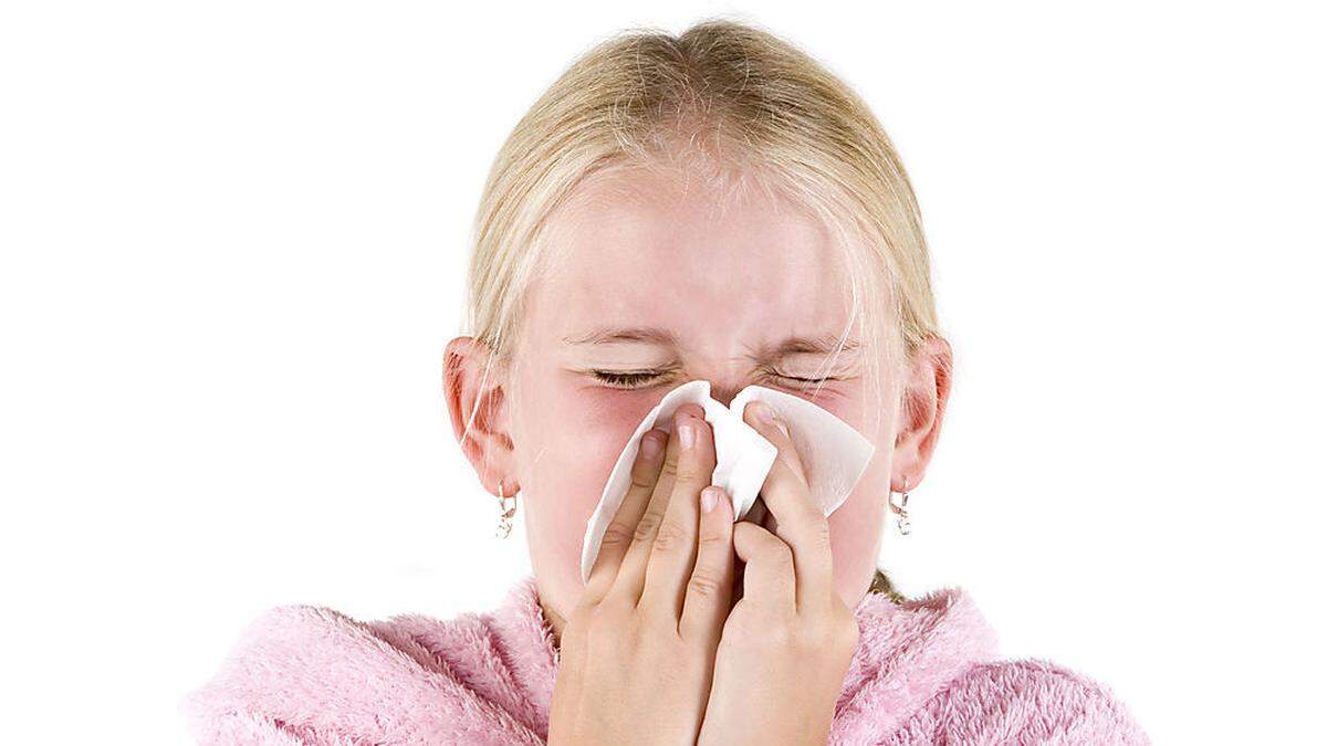 Gesundheit! Vielen Allergikern in Kärnten setzt der Pollenflug der Hasel und Grau-Erle zu