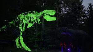 Alle 95 Dino Statuen des Parks sollen mit verschiedenen Lichteinstellungen in Szene gesetzt werden
