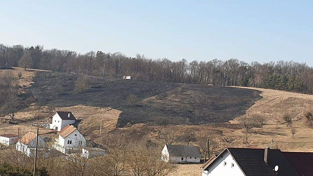 Zwei bis drei Hektar Wiese brannten in Mogersdorf (Bezirk Jennerdsorf ab)