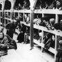Bis zu sechs Millionen Juden kostete der Holocaust ihr Leben