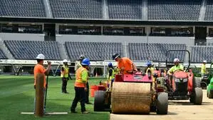 Im Stadion von Los Angeles wurde ebenfalls ein neuer Rasen verlegt