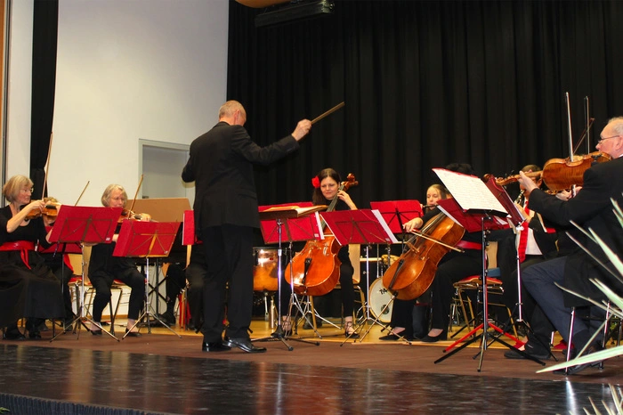 Salonorchester Ilz.