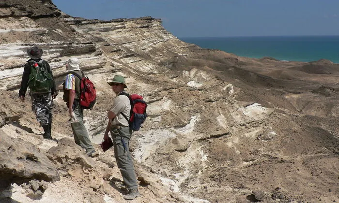 Geforscht wird in der Paläontologie und Stratigraphie nicht nur an wissenschaftlichen Instituten, sondern auch in der weiten Welt.