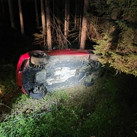 Der Pkw blieb seitlich in einem angrenzenden Waldstück liegen