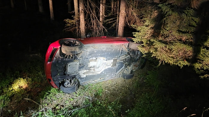 Der Pkw blieb seitlich in einem angrenzenden Waldstück liegen