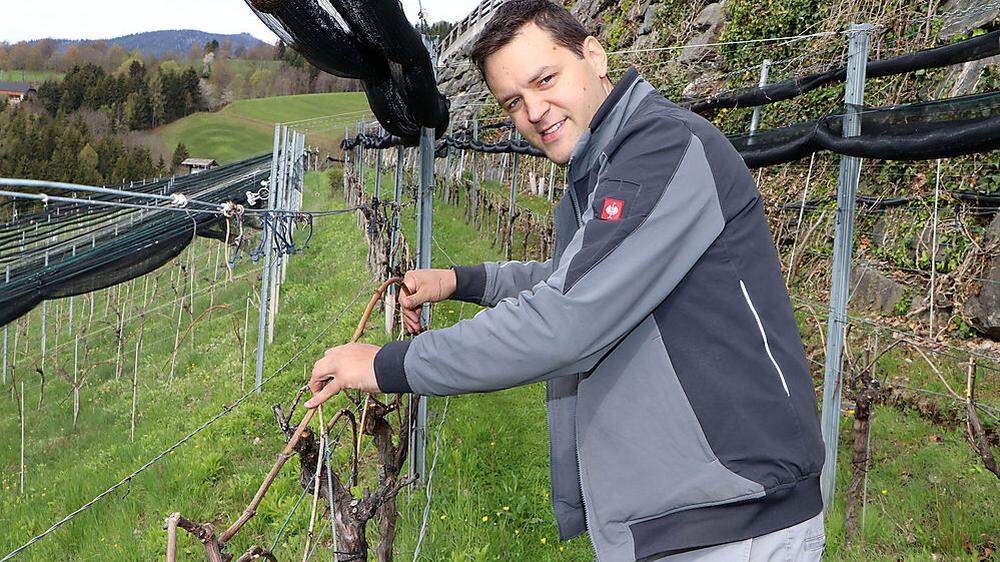 Rupert Ofer baut auf einer Fläche von 1,2 Hektar Wein am Wachsenberg an