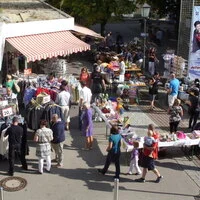 Stöbern ist wieder angesagt